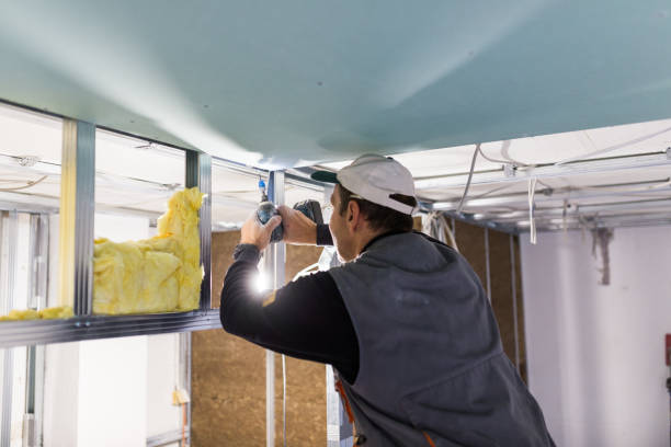 Types of Insulation We Offer in Macon, GA